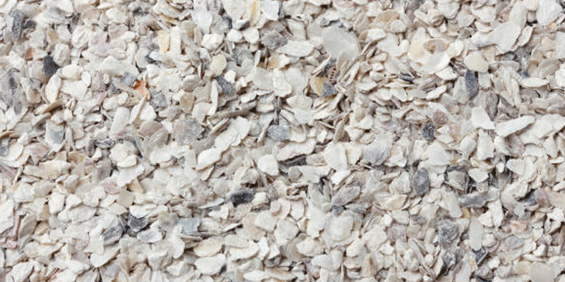 6-Oyster-Shells
